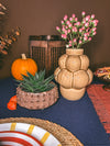 Pinecones and Chestnuts
